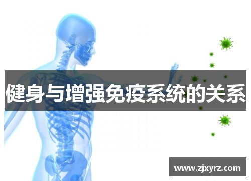 健身与增强免疫系统的关系